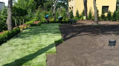 Green Plan Kamil Makowiak